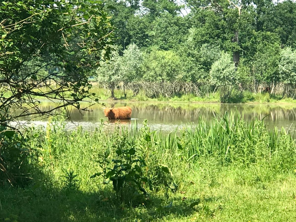 In De Tuin In Geesヴィラ エクステリア 写真